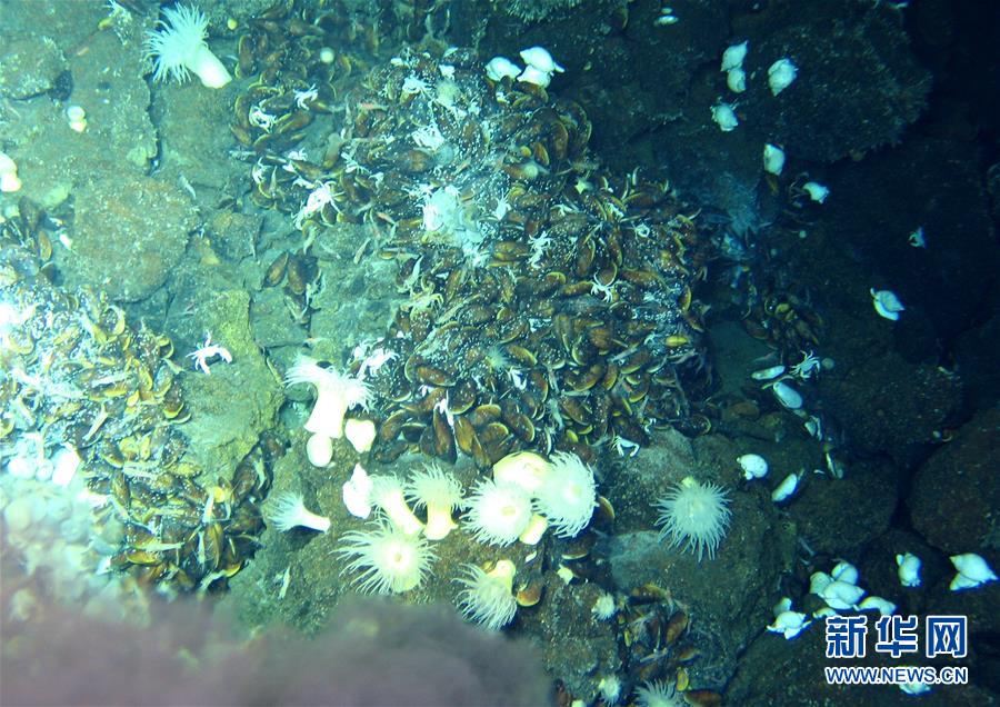 （圖文互動）（2）我國第二批實習潛航員完成首輪主駕“蛟龍”號海底作業