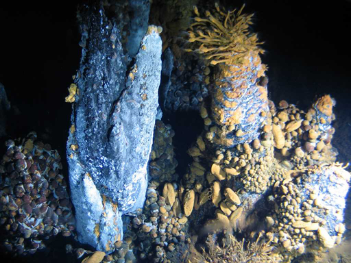 蛟龍,科考任務,熱液流體,載人潛水器,作業性能